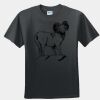 GILDAN® DRYBLEND™ T-SHIRT Thumbnail