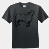 GILDAN® DRYBLEND™ T-SHIRT Thumbnail