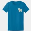 GILDAN® SOFTSTYLE® JUNIOR FIT LADIES’ T-SHIRT Thumbnail