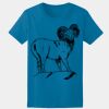 GILDAN® SOFTSTYLE® JUNIOR FIT LADIES’ T-SHIRT Thumbnail