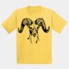 GILDAN® ULTRA COTTON® YOUTH T-SHIRT Thumbnail