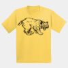 GILDAN® ULTRA COTTON® YOUTH T-SHIRT Thumbnail