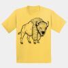 GILDAN® ULTRA COTTON® YOUTH T-SHIRT Thumbnail