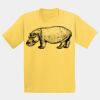 GILDAN® ULTRA COTTON® YOUTH T-SHIRT Thumbnail