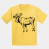 GILDAN® ULTRA COTTON® YOUTH T-SHIRT Thumbnail