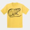 GILDAN® ULTRA COTTON® YOUTH T-SHIRT Thumbnail