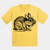 GILDAN® ULTRA COTTON® YOUTH T-SHIRT Thumbnail