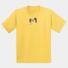 GILDAN® ULTRA COTTON® YOUTH T-SHIRT Thumbnail