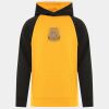 ATC™ GAME DAY™FLEECE TWO TONE HOODED YOUTH SWEATSHIRT Thumbnail