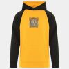 ATC™ GAME DAY™FLEECE TWO TONE HOODED YOUTH SWEATSHIRT Thumbnail