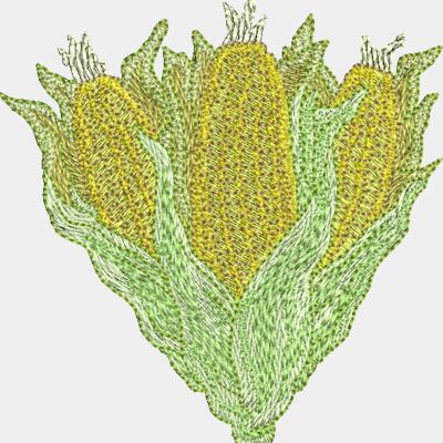 Corn Thumbnail